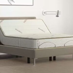 Zenhaven Latex Mattress