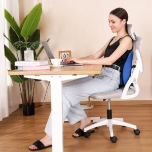 REATHLETE Lumbraze lumbar support cushion strapped to the back of an office chair