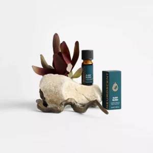 NeuroScent sleep essential oil blend in a 10 ml amber glass bottle with dropper