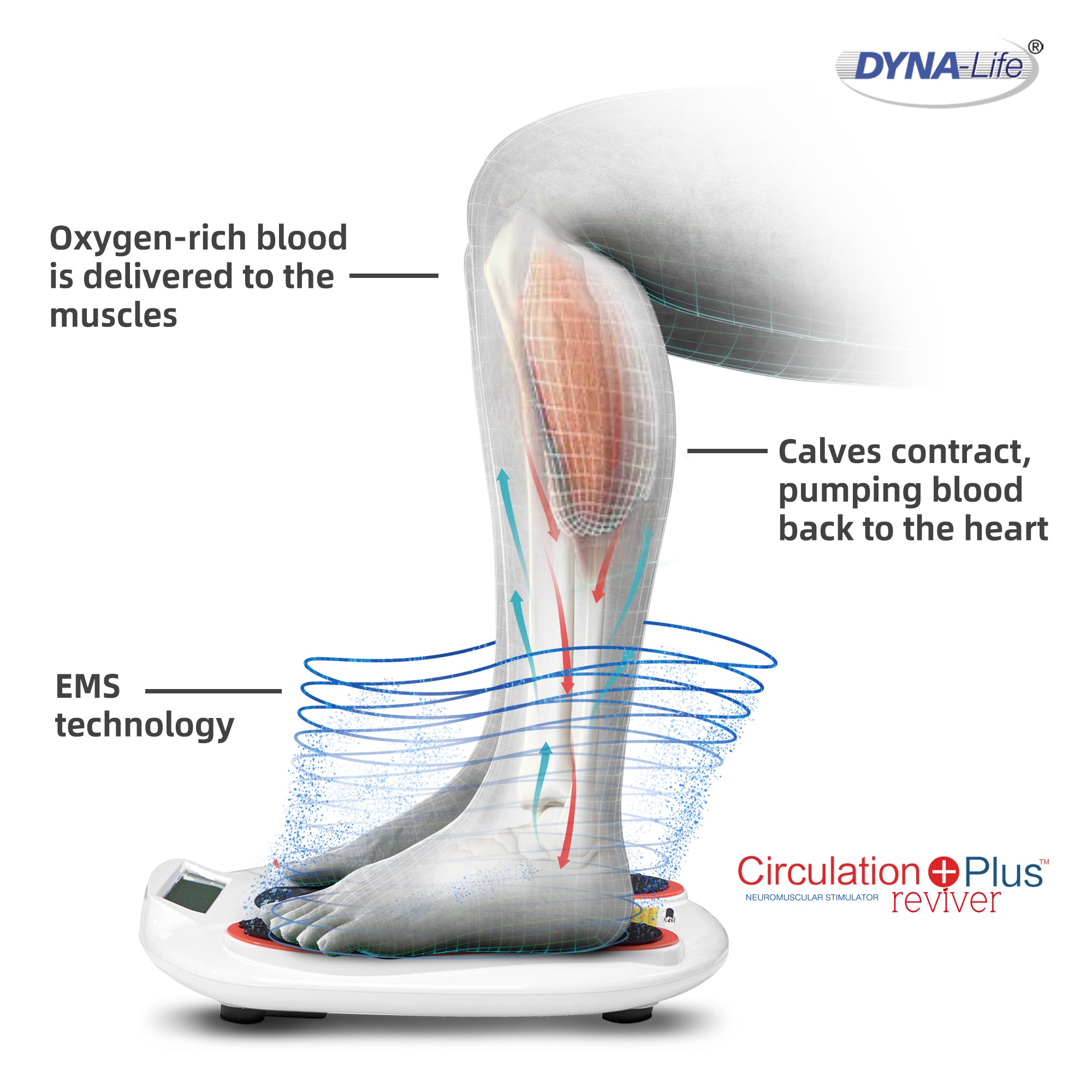 Circulation Maxx Reviver EMS foot massager pad with remote control and display — view 5
