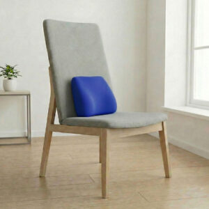 Sleepycat Lumbar Seat Cushion