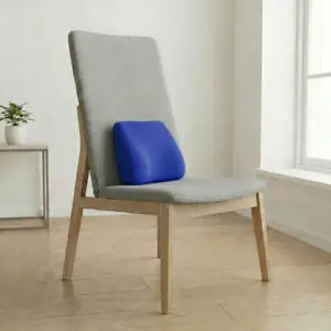 Sleepycat Lumbar Seat Cushion