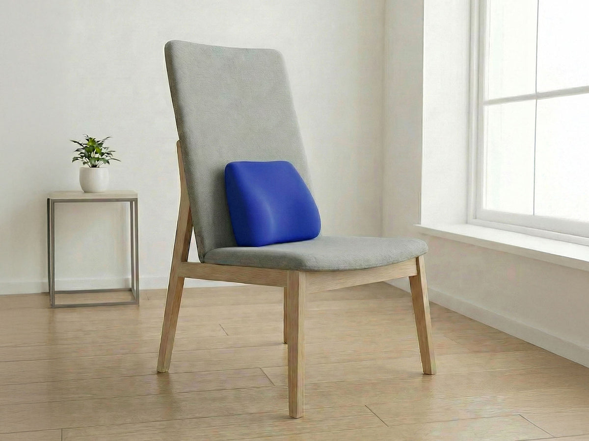 Sleepycat Lumbar Seat Cushion