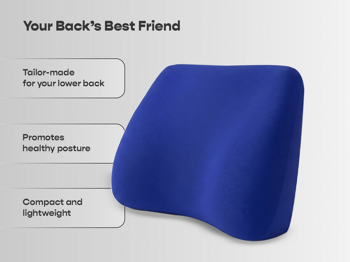 Sleepycat Lumbar Seat Cushion — view 4